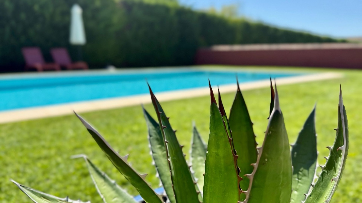 L'Hôtel La Perna à Pernes-les-Fontaines